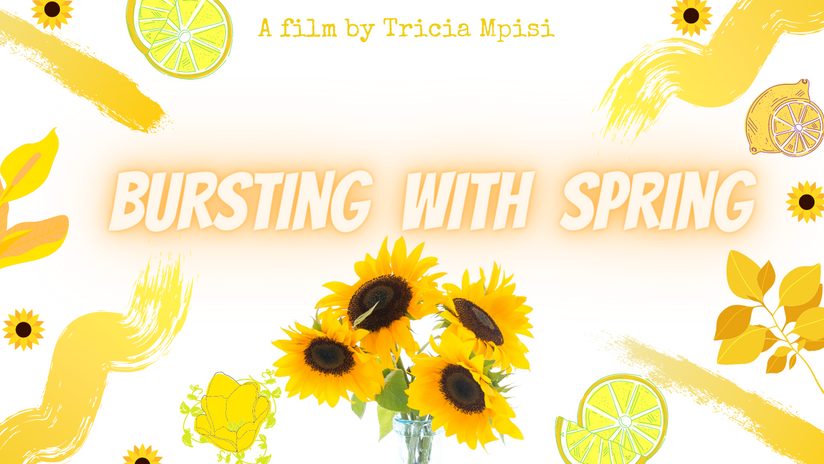 Bursting with Spring